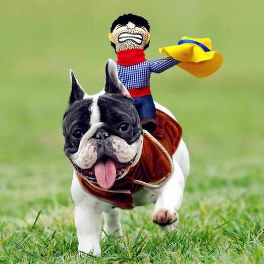 Halloween Cowboy Robber Cosplay Pet Costume for Cats and Dogs - Lil Wild Pets