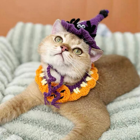 Pumpkin & Ghost Crochet Adjustable Hat & Bib for Cats and Dogs - Lil Wild Pets