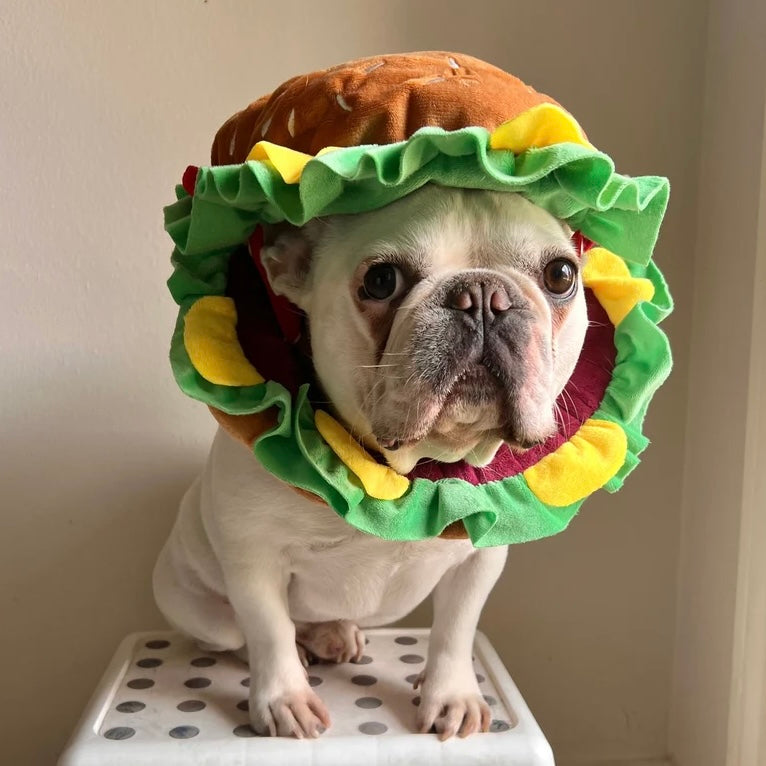 Pet Burger Plush Hat for Cats and Dogs