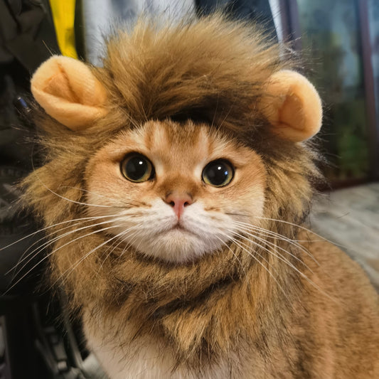 Pet Adjustable Hat for Cats and Dogs - Lion - Lil Wild Pets