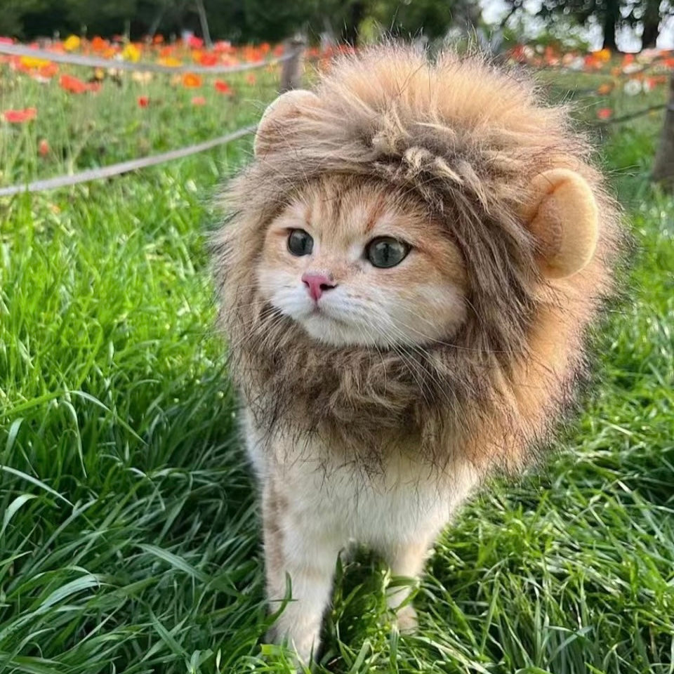 Pet Adjustable Hat for Cats and Dogs - Lion - Lil Wild Pets