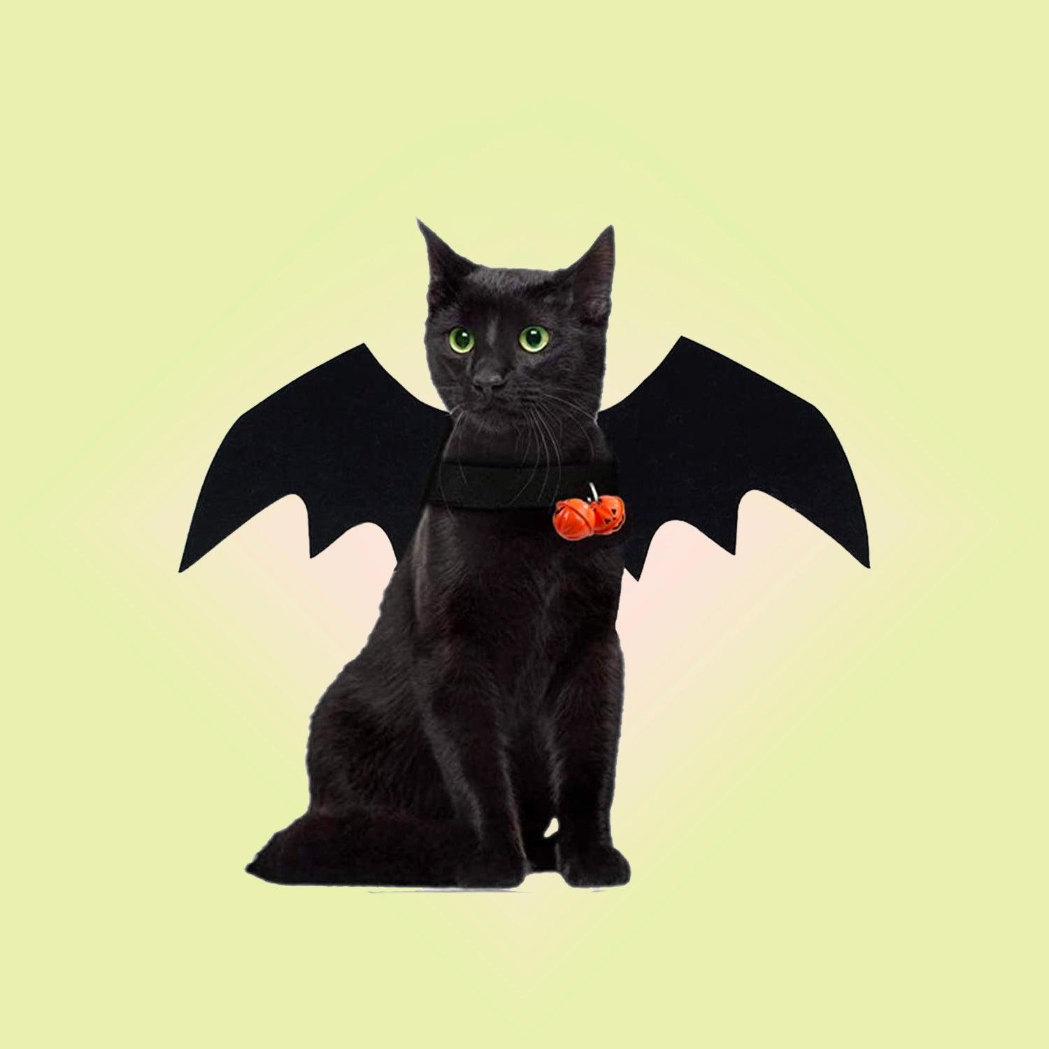 Black Cat Halloween Costume, 2-3T