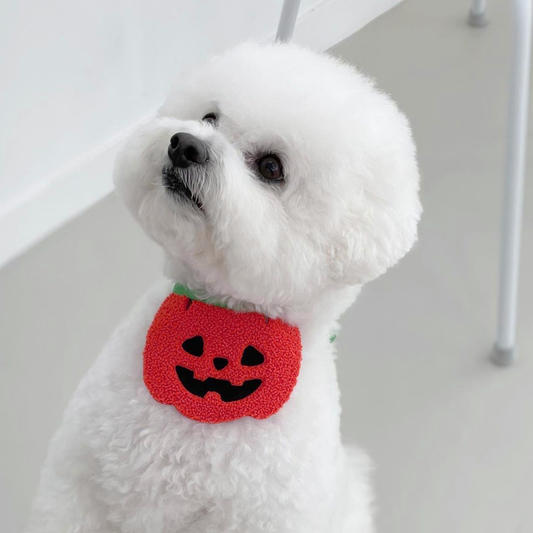 Red Pumpkin Halloween Pet Adjustable Bib for Cats and Dogs - Lil Wild Pets