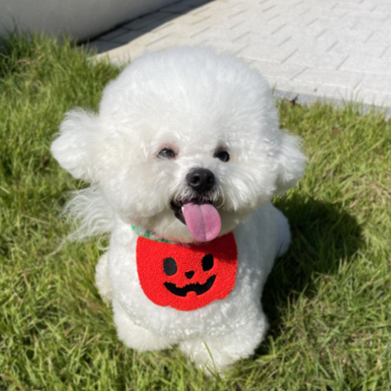 Red Pumpkin Halloween Pet Adjustable Bib for Cats and Dogs - Lil Wild Pets