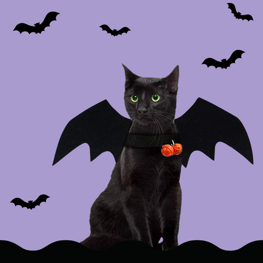 Halloween Black Bat Wing with Pumpkin Bell Cosplay Pet Costume for Cats and Dogs - Lil Wild Pets
