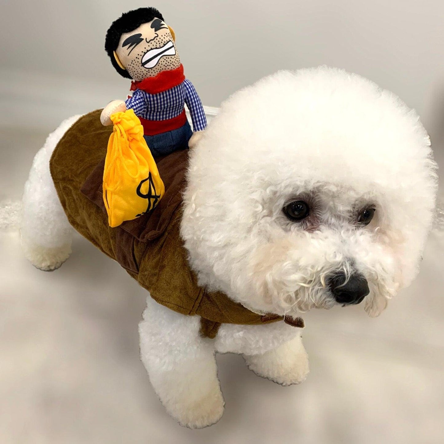 Halloween Cowboy Robber Cosplay Pet Costume for Cats and Dogs - Lil Wild Pets