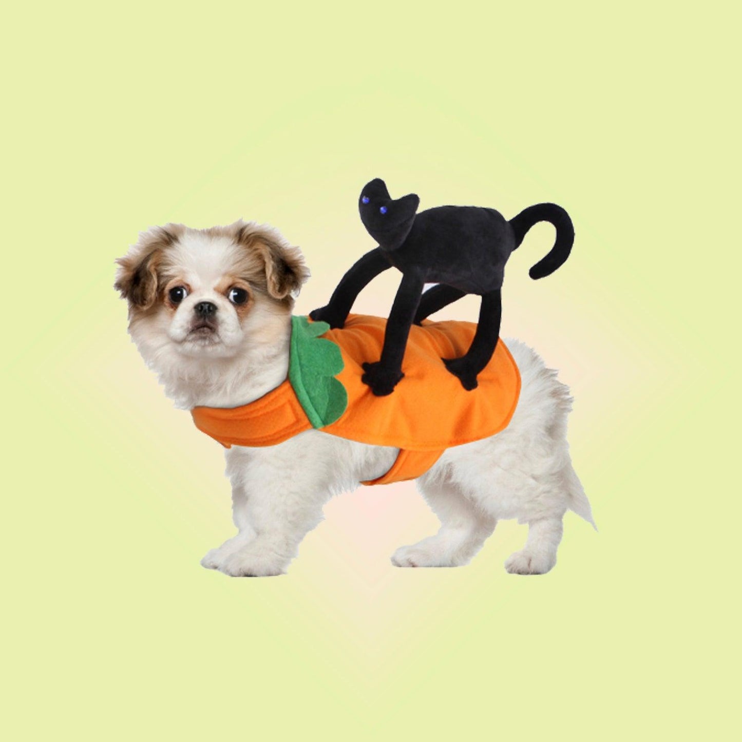 Halloween Cat Pumpkin Ride Pet Cosplay Costume for Cats and Dogs - Lil Wild Pets