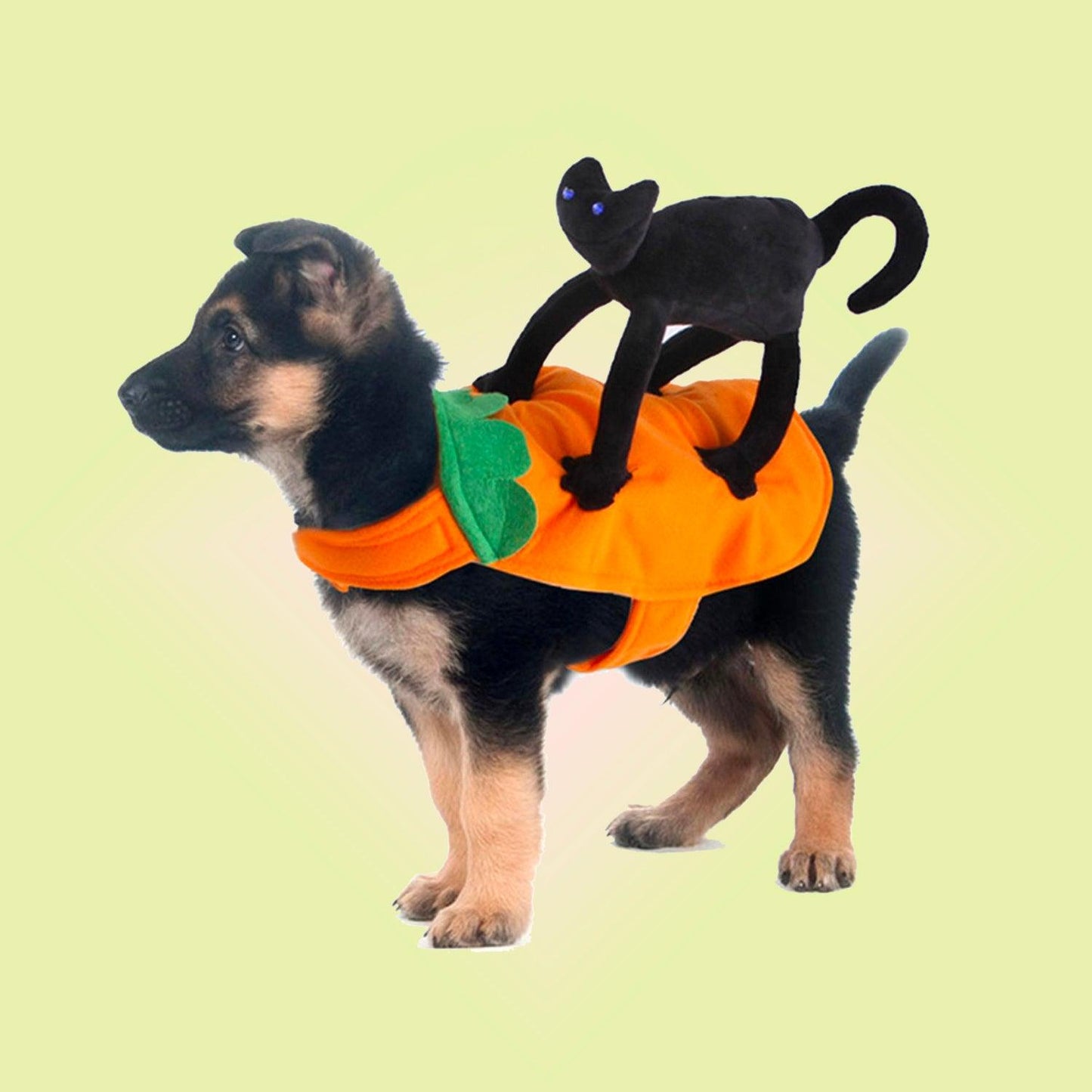 Halloween Cat Pumpkin Ride Pet Cosplay Costume for Cats and Dogs - Lil Wild Pets