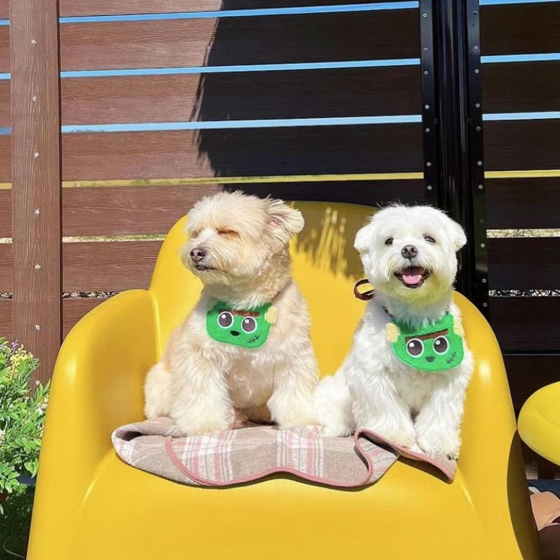 Halloween Green Monster Pet Adjustable Bib for Cats and Dogs - Lil Wild Pets