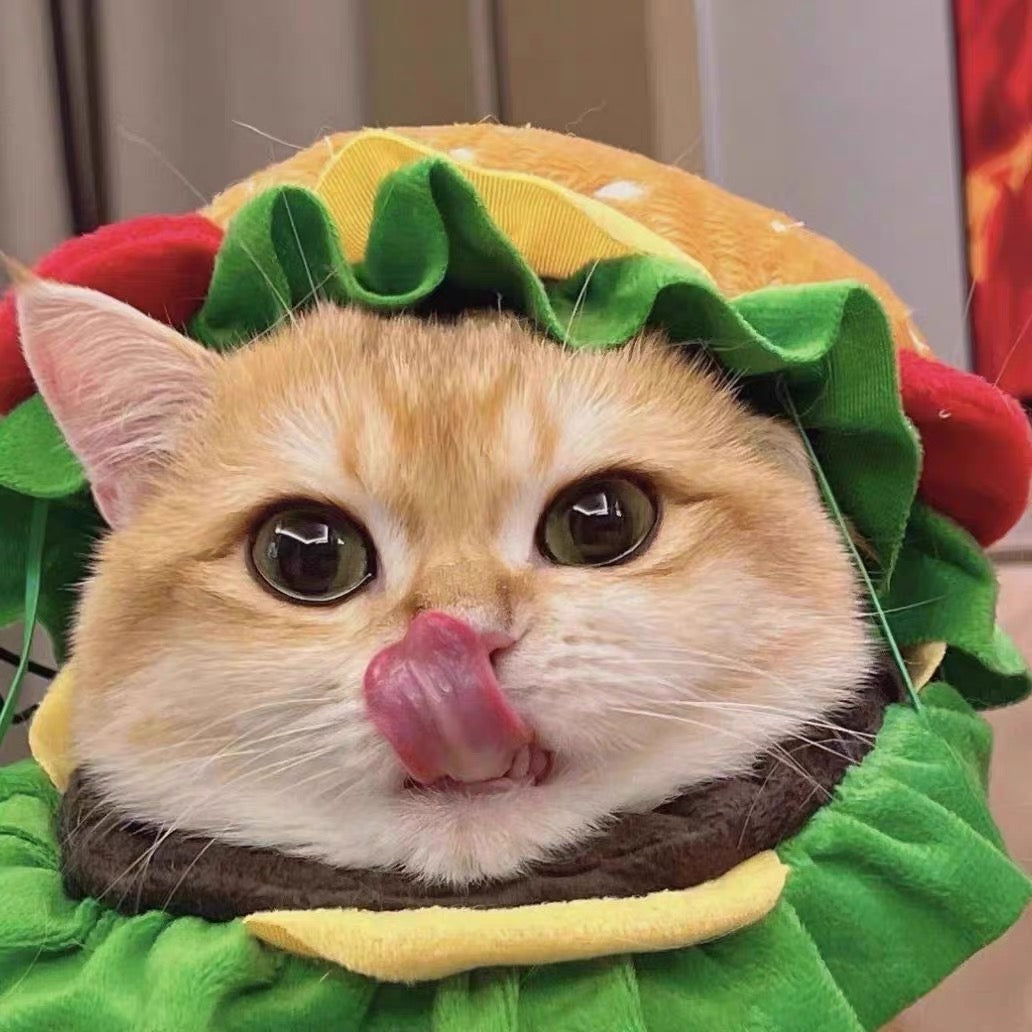 Pet Burger Plush Hat for Cats and Dogs