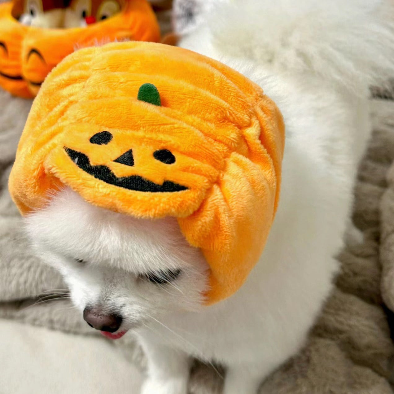 Pet Adjustable Hat for Cats and Dogs - Pumpkin