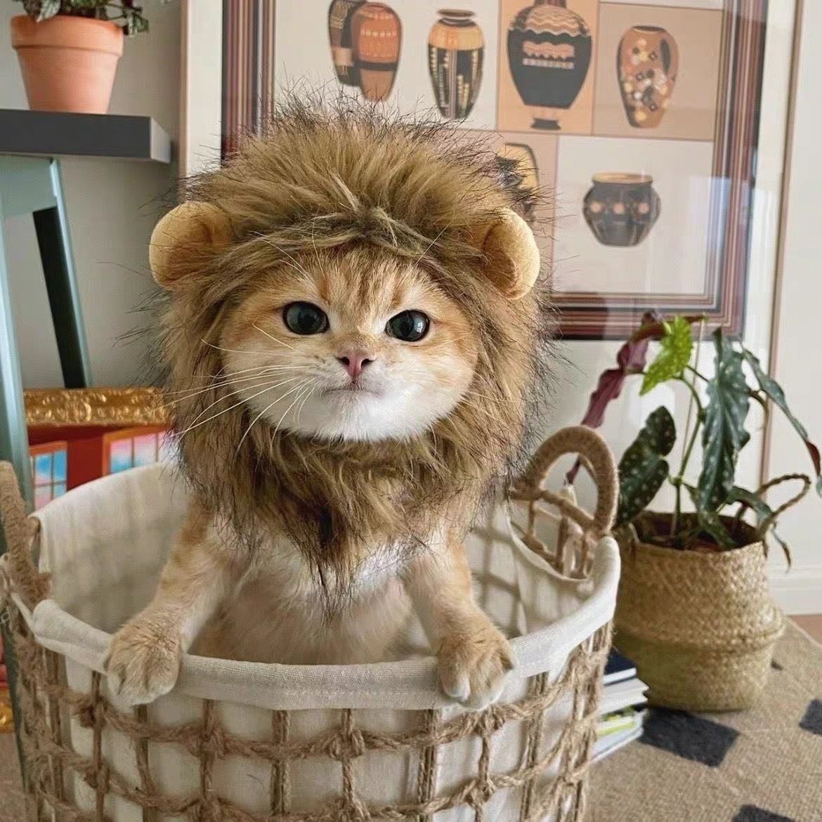 Pet Adjustable Hat for Cats and Dogs - Lion - Lil Wild Pets
