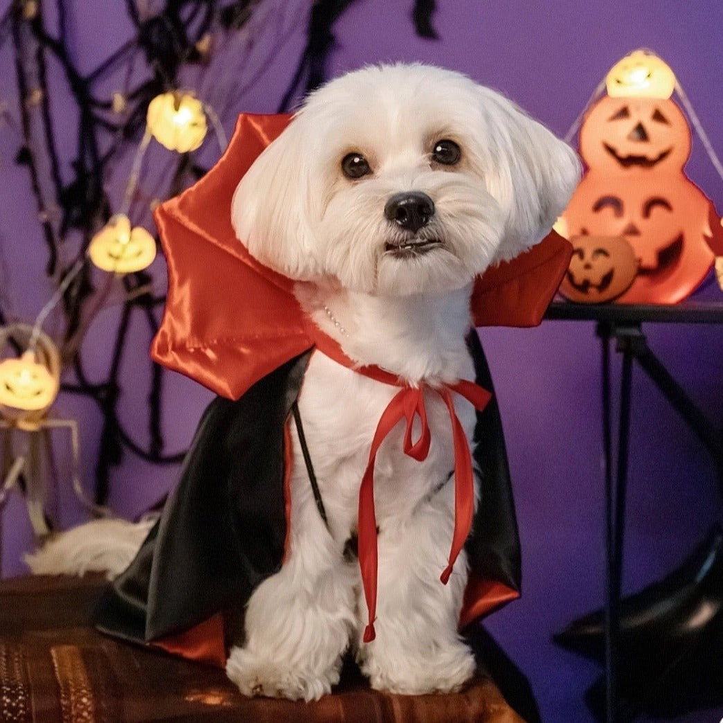 Halloween Vampire Devil Cap Pet Costume for Cats and Dogs