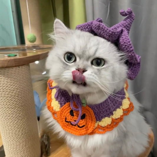 Pumpkin & Ghost Crochet Adjustable Hat & Bib for Cats and Dogs - Lil Wild Pets