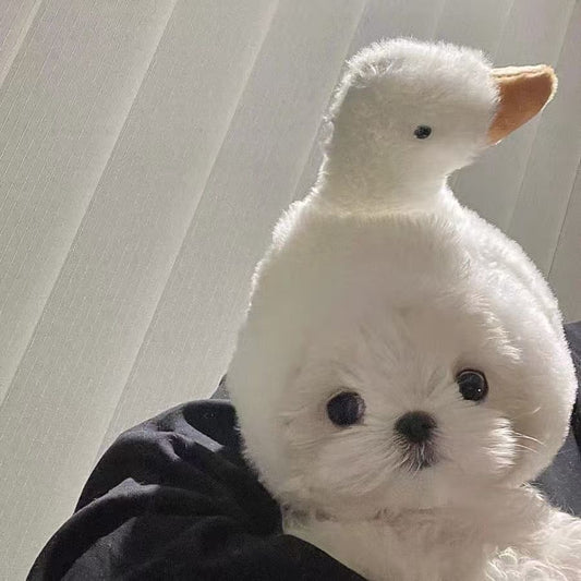 Halloween Pet Goose Hat for Cats & Small Dogs
