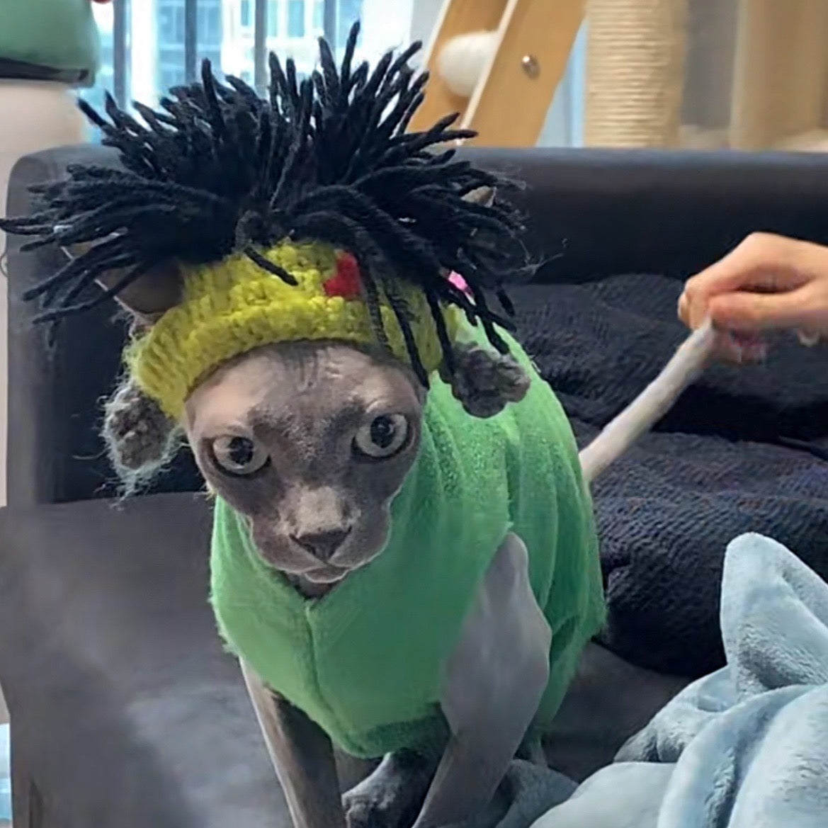 Pet Adjustable Knitting Wig Hat for Cats and Dogs