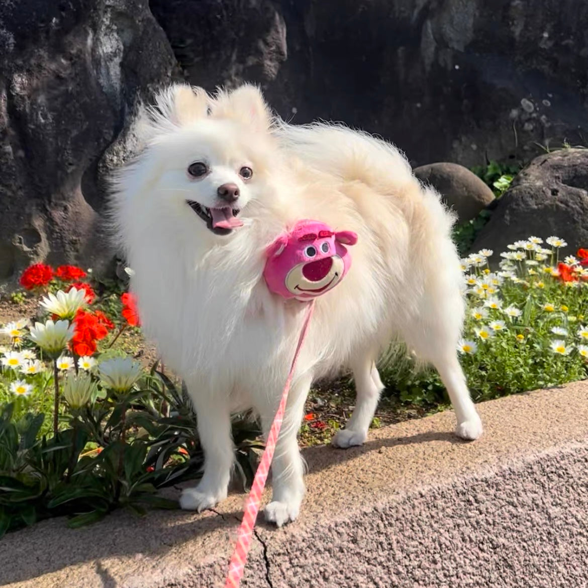 Strawberry Bear & Alien Backpack for Cats and Dogs - Lil Wild Pets