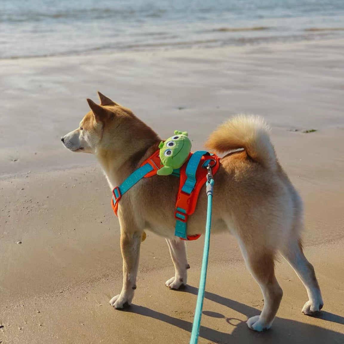 Strawberry Bear & Alien Backpack for Cats and Dogs - Lil Wild Pets