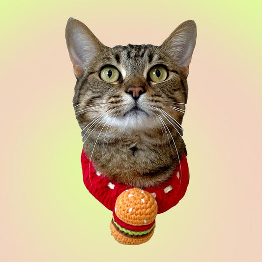 Knit Hamburger Handmade Crochet Pet Bib Accessory Collar for Cats and Dogs - Lil Wild Pets