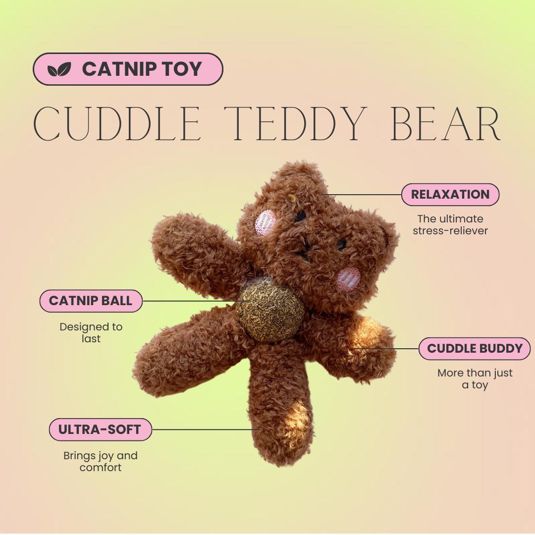 Lickable Catnip Ball Cuddle Plush Toy- Teddy Bear & Pink Bunny