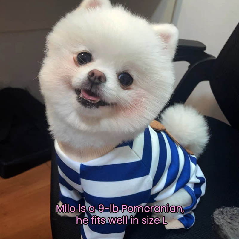 Teddy Bear Blue Stripe Soft Onesie Pajama T-Shirt for Cats and Dogs - Lil Wild Pets
