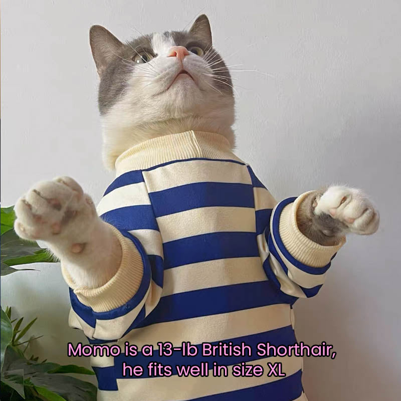 Teddy Bear Blue Stripe Soft Onesie Pajama T-Shirt for Cats and Dogs - Lil Wild Pets
