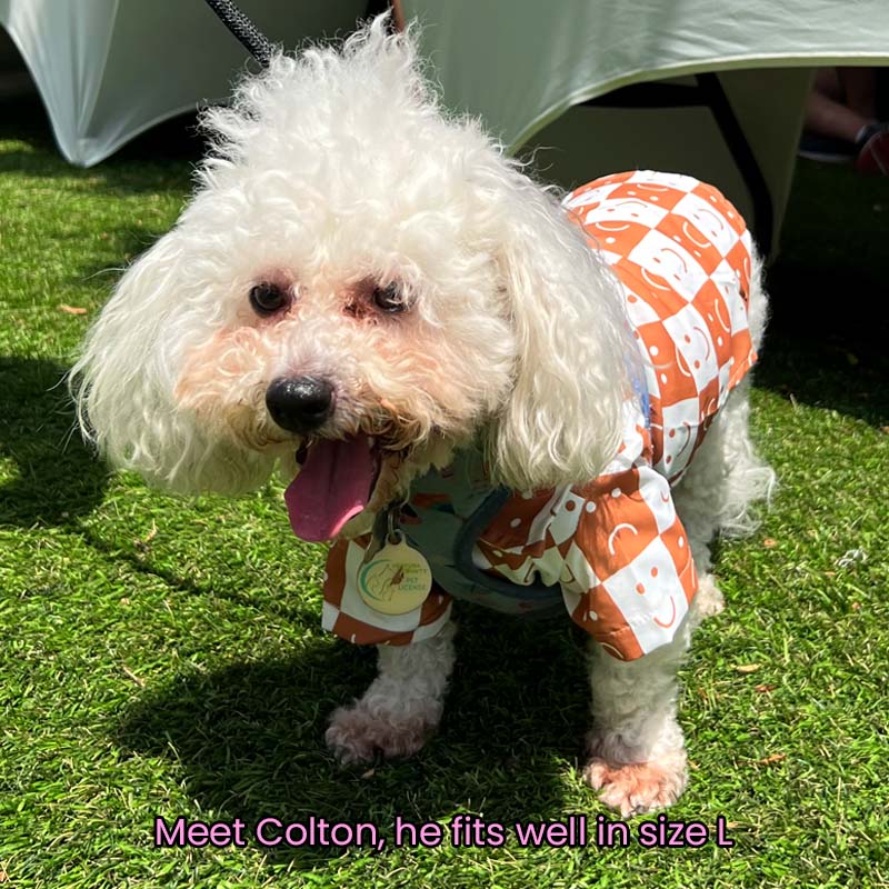 Brown Smily Face Checked Shirt for Cats and Dogs - Lil Wild Pets