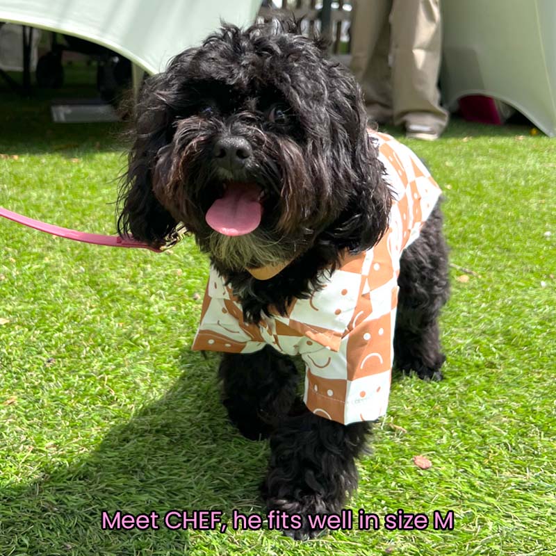 Brown Smily Face Checked Shirt for Cats and Dogs - Lil Wild Pets