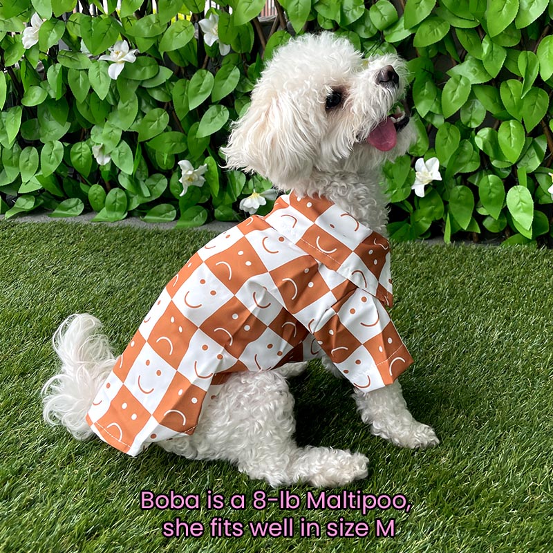 Brown Smily Face Checked Shirt for Cats and Dogs - Lil Wild Pets