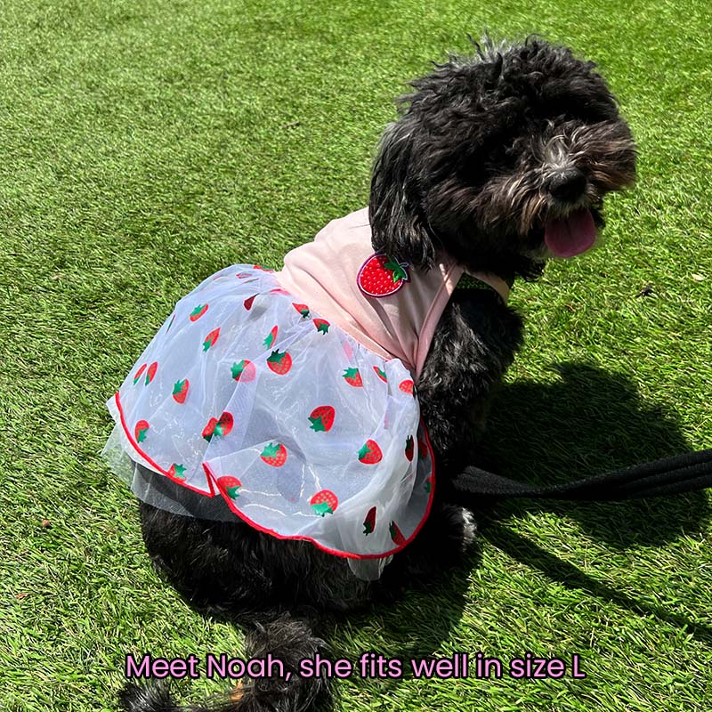 Pink Strawberry Princess Mesh Summer Dress for Cats and Dogs - Lil Wild Pets