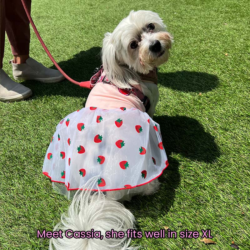 Pink Strawberry Princess Mesh Summer Dress for Cats and Dogs - Lil Wild Pets