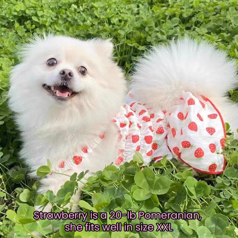 Pink Strawberry Pleated Cotton Princess Summer Dress for Cats and Dogs - Lil Wild Pets