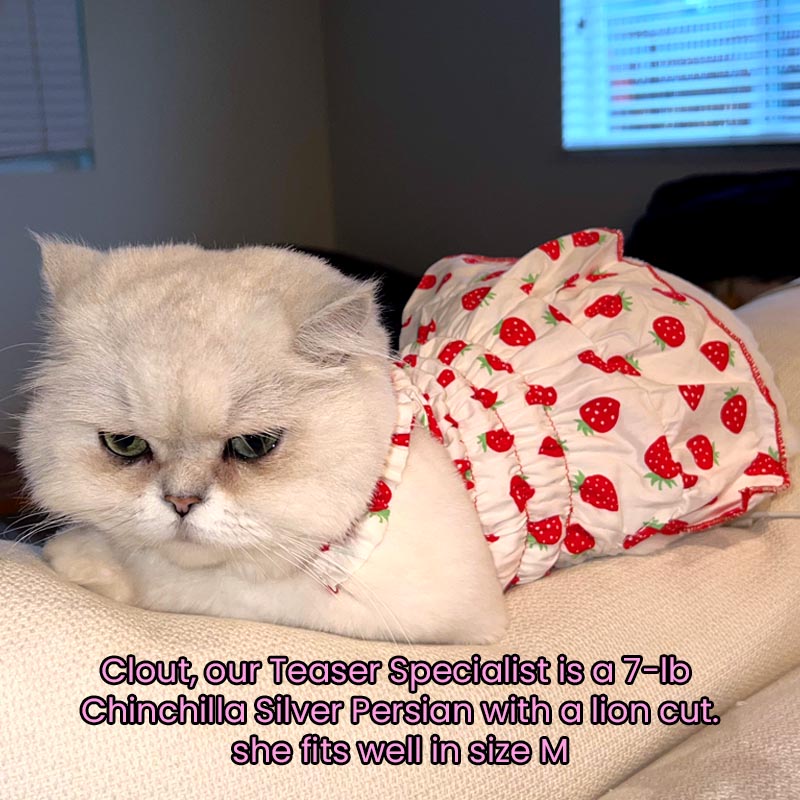 Pink Strawberry Pleated Cotton Princess Summer Dress for Cats and Dogs - Lil Wild Pets