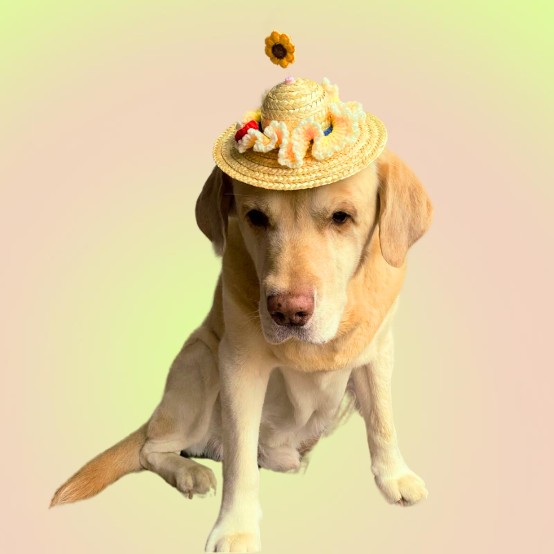 Handmade Sunflower Pet Adjustable Straw Hat