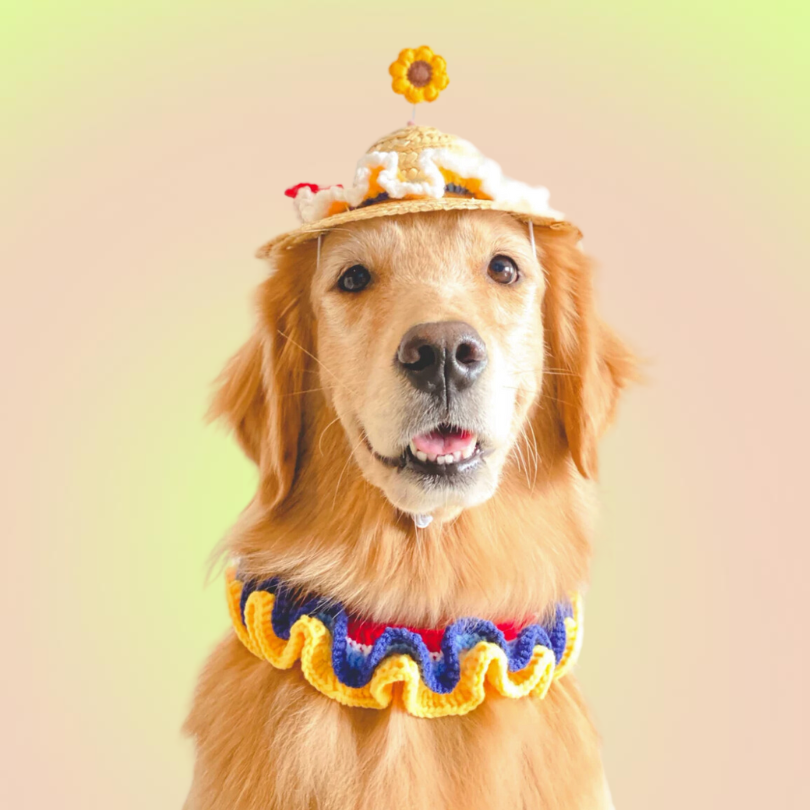 Handmade Sunflower Pet Adjustable Straw Hat