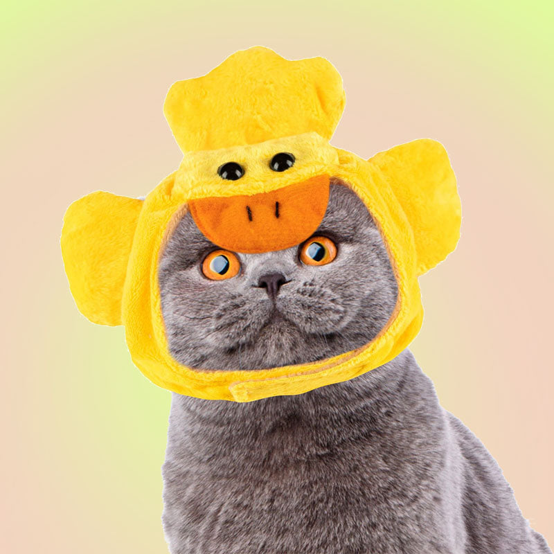 Duck Adjustable Pet Hat with Ear Holes for Cats and Dogs - Lil Wild Pets