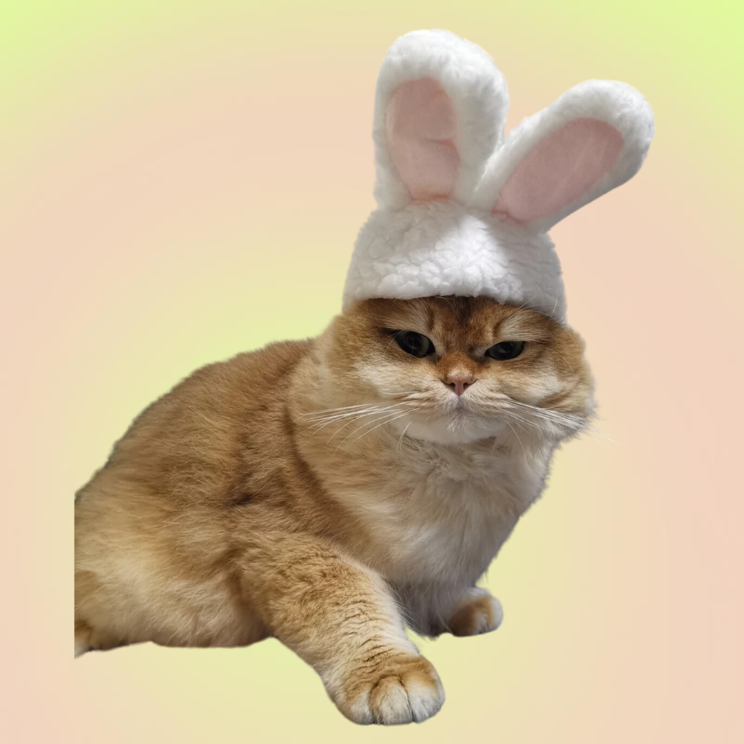 Fuzzy Bunny Adjustable Pet Hat for Cats and Dogs