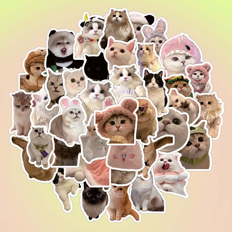 Cats In Different Hats Stickers Pack - 30pcs - Lil Wild Pets