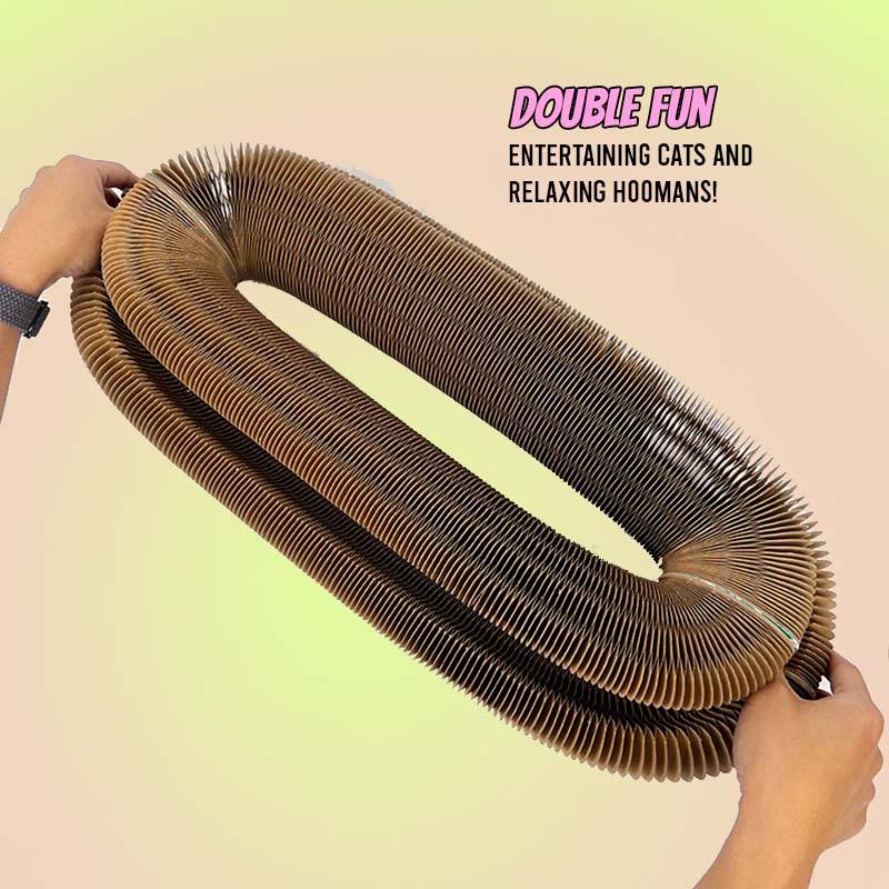 Cat Self-Play Foldable Donut Scratcher Tunnel Chaser Ball Toy - Lil Wild Pets