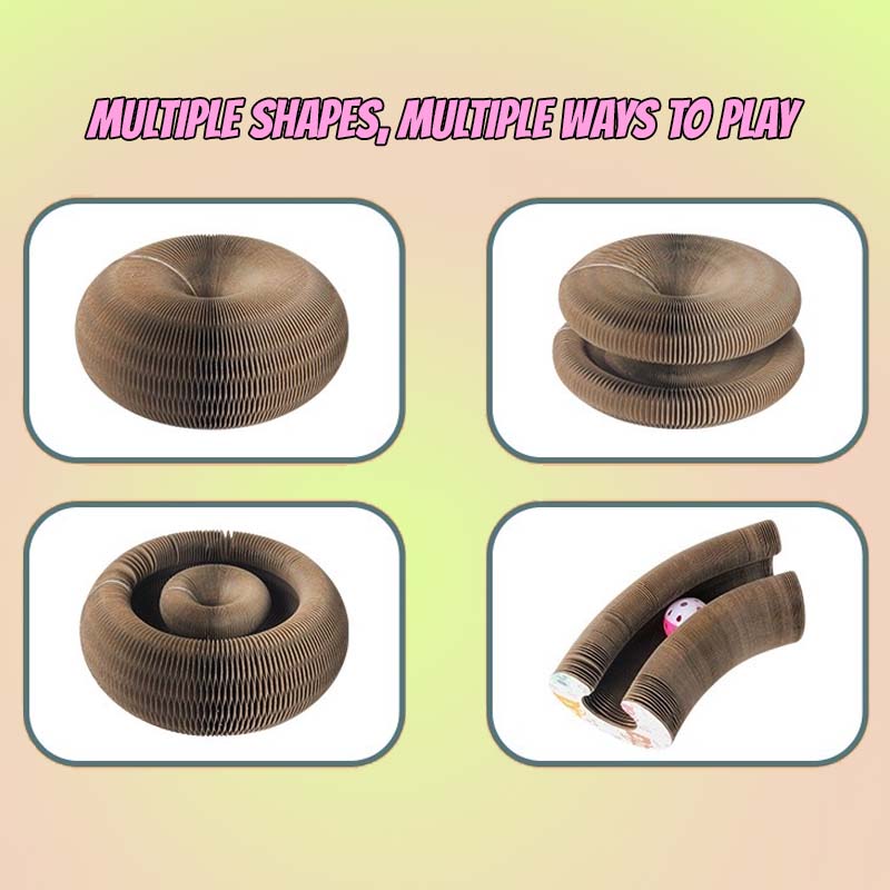 Cat Self-Play Foldable Donut Scratcher Tunnel Chaser Ball Toy - Lil Wild Pets