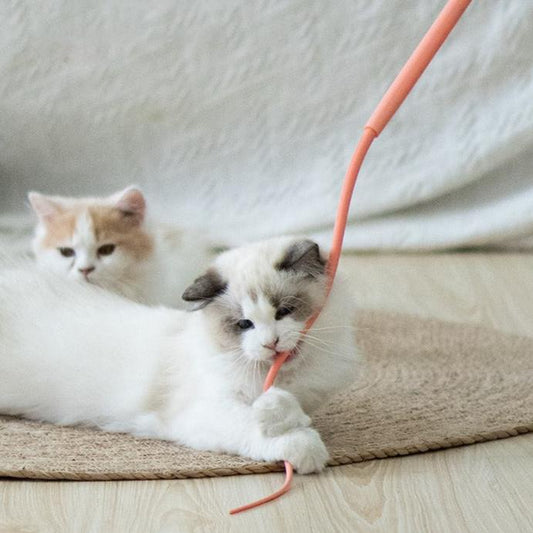 Mouse Tail Teaser Wand Cat Toy - Lil Wild Pets