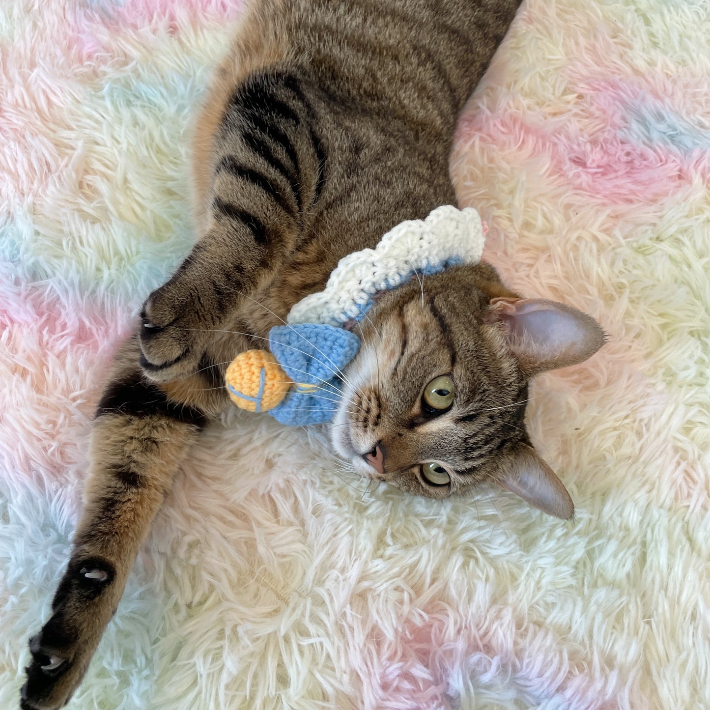 Blue Bow with Bell Knit Handmade Crochet Bib Accessory for Cats and Dogs - Lil Wild Pets