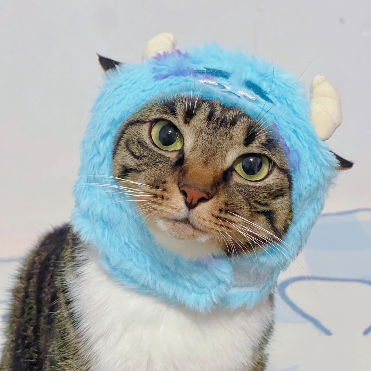 Monsters, Inc. Sullivan Adjustable Pet Hat - Lil Wild Pets