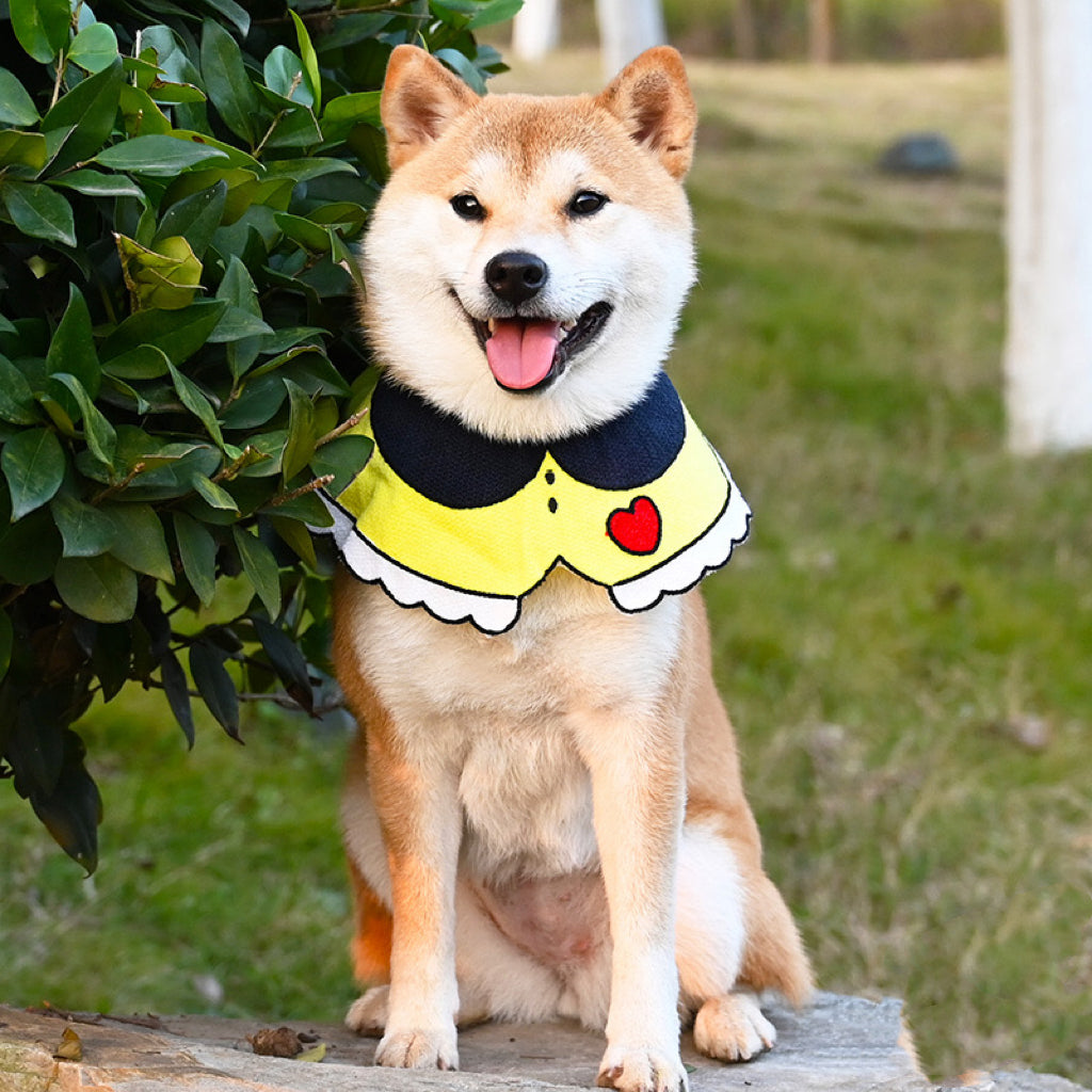 Yellow Heart Adjustable Accessory Collar for Cats and Dogs - Lil Wild Pets