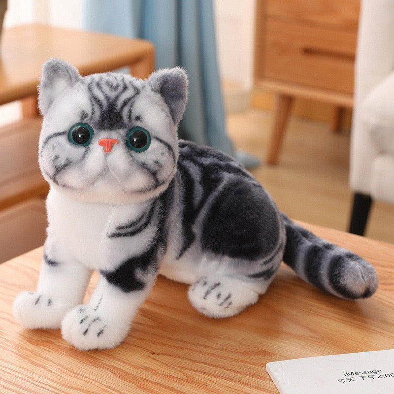 Persian Cat 10" Cuddle Plush Toy Stuffed Animal - Lil Wild Pets