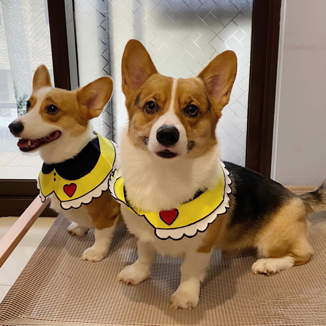 Yellow Heart Adjustable Accessory Collar for Cats and Dogs - Lil Wild Pets