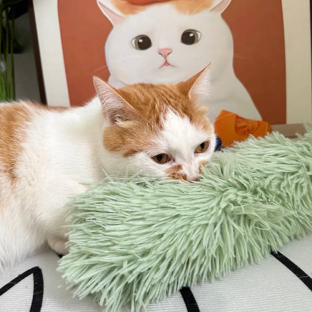 Plush Caterpillar Cat Toy with Catnip and Crinkle Paper - Lil Wild Pets