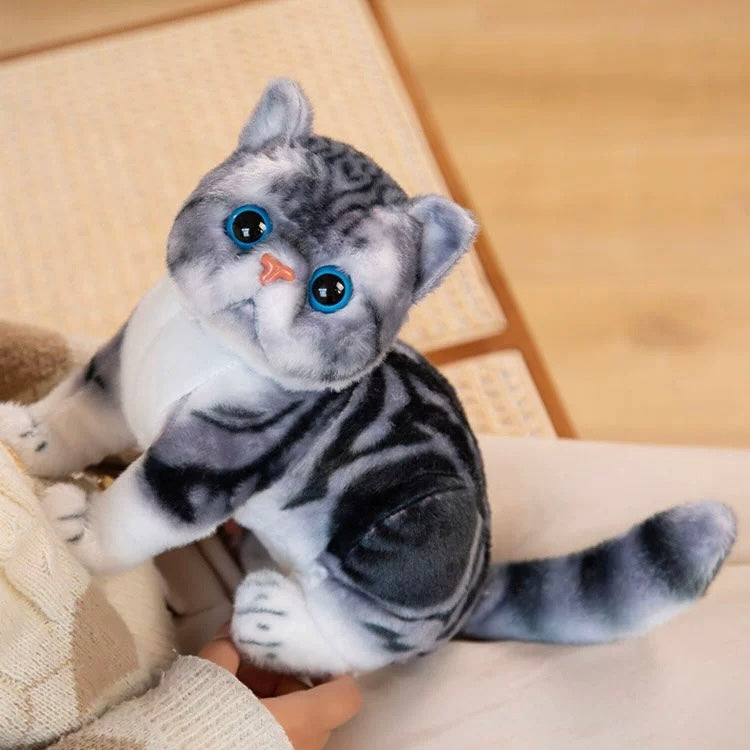 Persian Cat 10" Cuddle Plush Toy Stuffed Animal - Lil Wild Pets