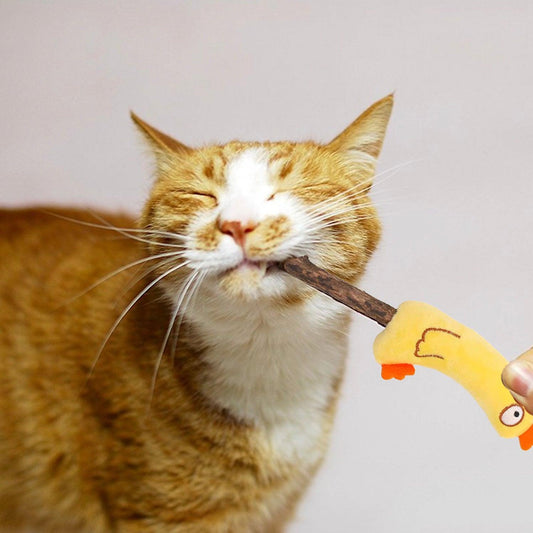 Chicken Silvervine Stick Cat Chew Toy - Lil Wild Pets