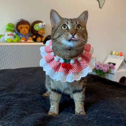 Cute Lace Adjustable Pet Collar for Cats and Dogs - Lil Wild Pets